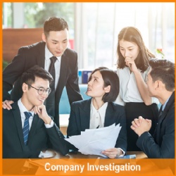 Company Investigation